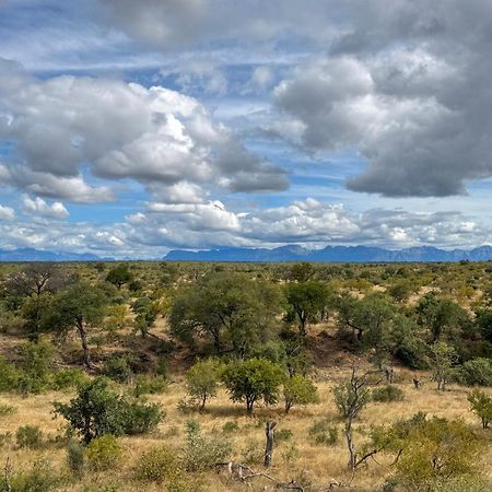 Sausage Tree Safari Camp Balule Game Reserve Exterior photo