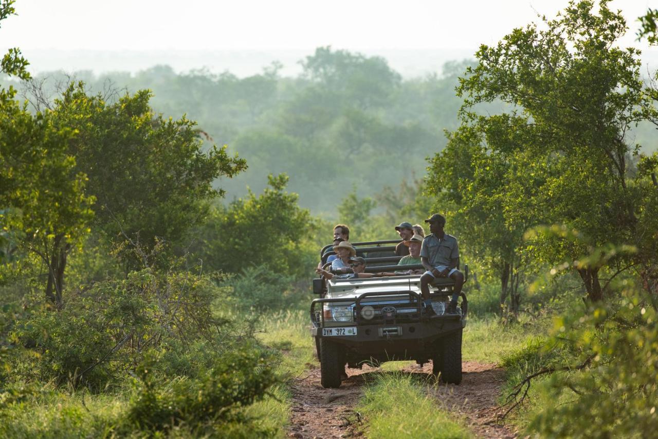 Sausage Tree Safari Camp Balule Game Reserve Exterior photo