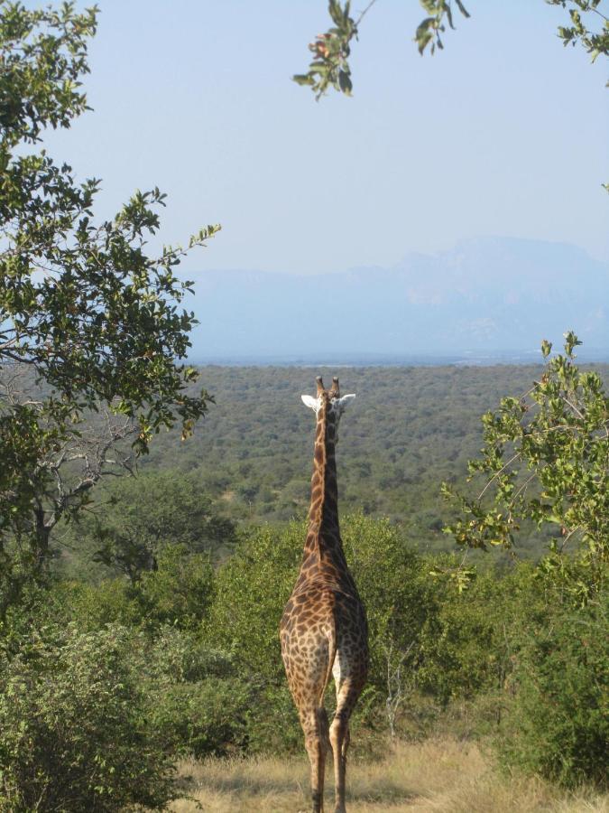 Sausage Tree Safari Camp Balule Game Reserve Exterior photo